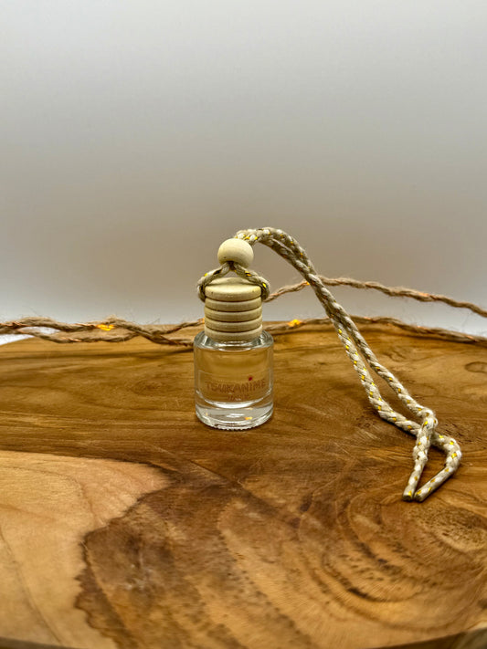 Diffuseur parfumé pour voiture